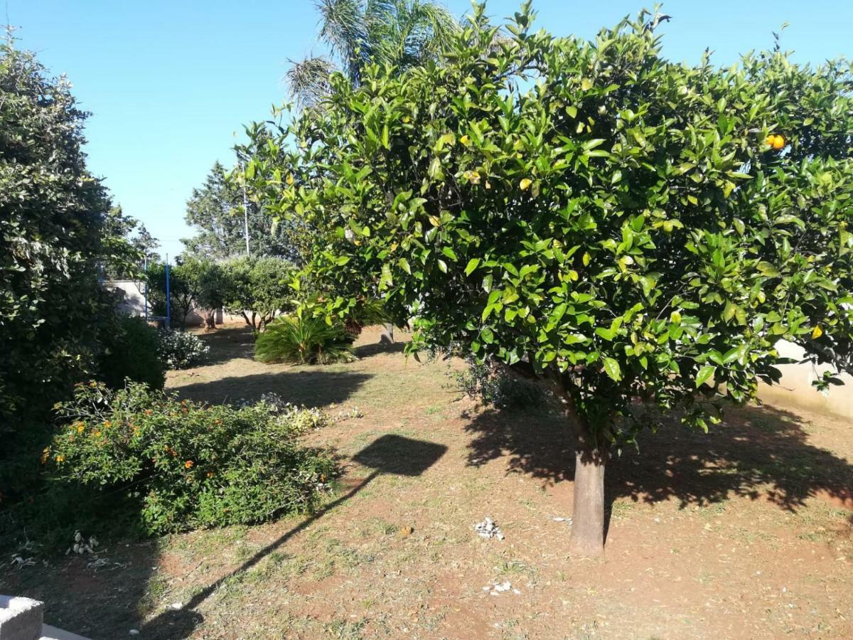 Il Giardino Degli Ulivi Panzió Galatina Kültér fotó
